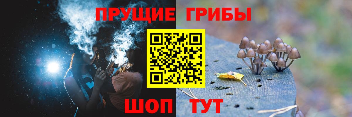 Псилоцибиновые грибы MAGIC MUSHROOMS Ивантеевка